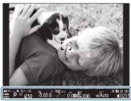 OM SYSTEM OM1 Mark II - Affichage du viseur pendant la prise de vue à l'aide du viseur (Style 1/Style 2) - 1