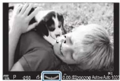 OM SYSTEM OM1 Mark II - PASM - 1