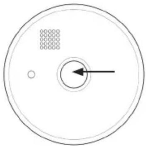 Brandson 304967 - Auto-test - 1