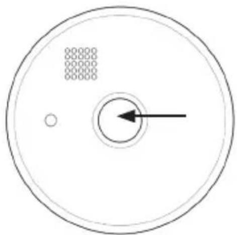 Brandson 304967 - Autoprueba - 1