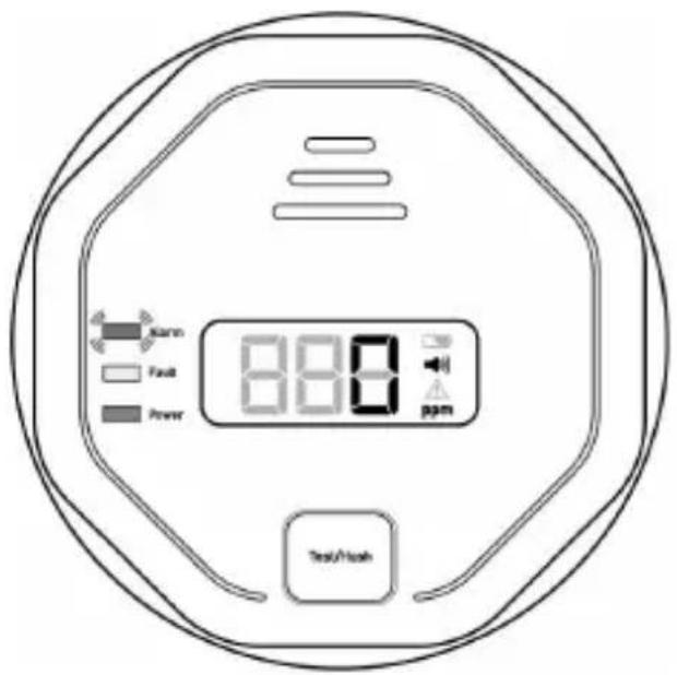 Brandson 304339 - Testing the carbon monoxide detector - 2