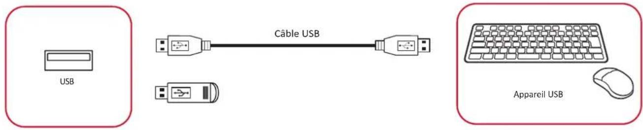 VIEWSONIC 65505 - Périphériques USB - 1