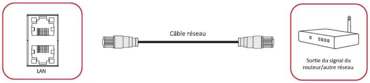 VIEWSONIC 65505 - Câbles réseau et modem - 1
