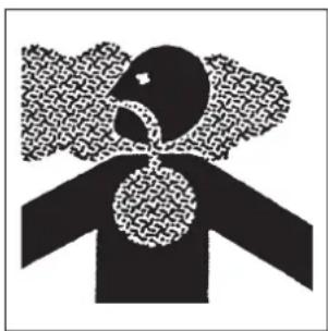 Maruyama H23DFLR - Sécurité de l'utilisateur - 2