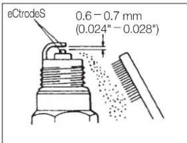 Maruyama H23DFLR - BOUGIE - 1
