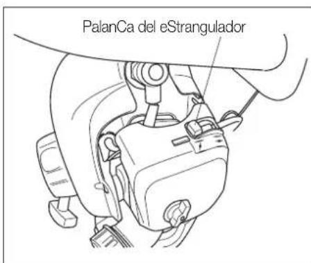 Maruyama H23DFLR - CÓMOr ARRANCAR EL MOTOR (carburador con bomba decebado) - 2
