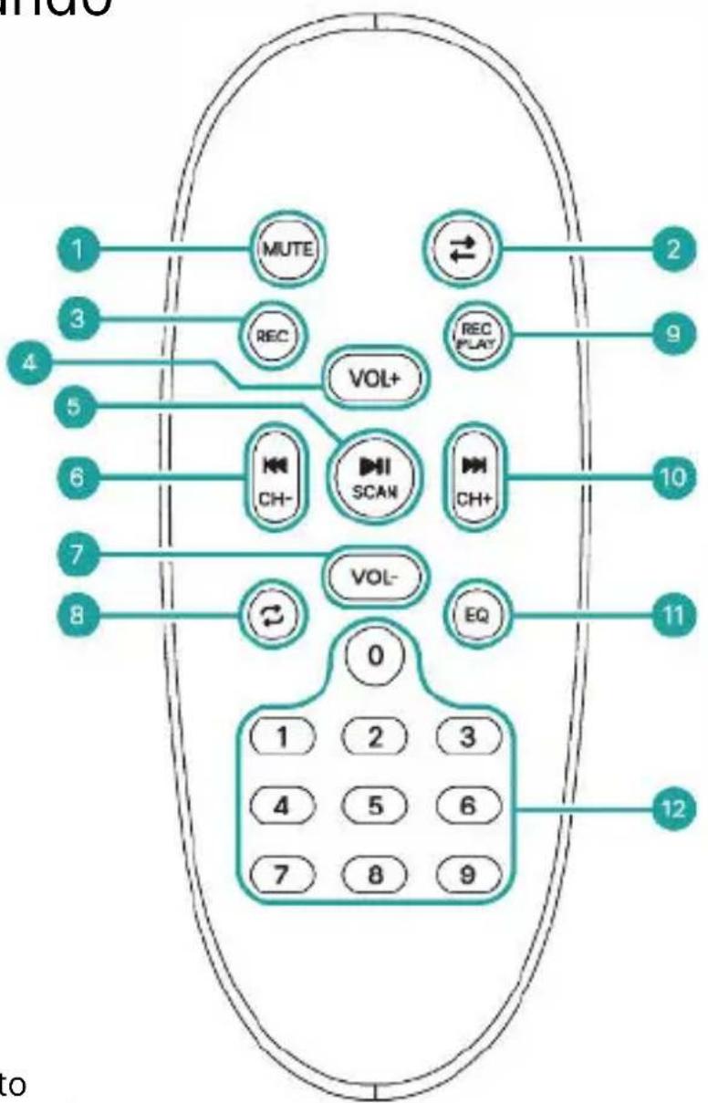 Majority P300 - Telecomando - 1