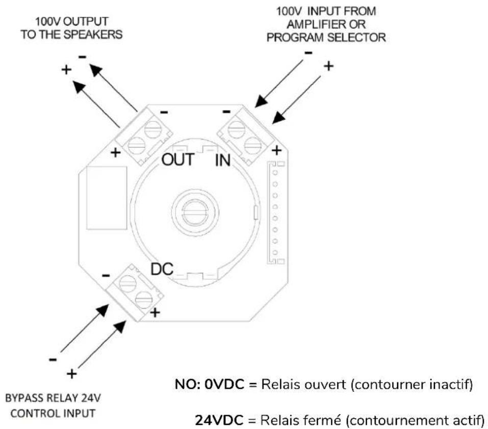 Ecler WPaCNXJRCA - WPaH-AT100 - 2