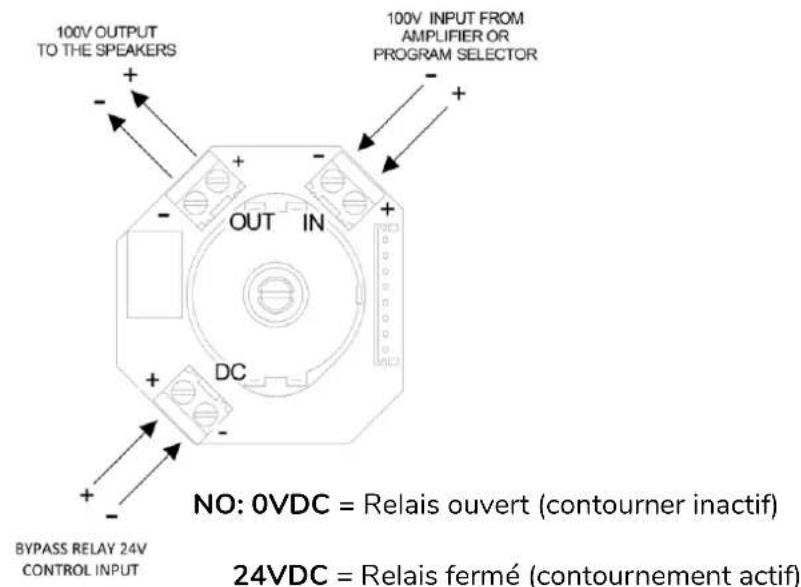 Ecler WPaCNXJRCA - WPaH-AT40 - 2