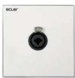 Ecler WPaCNXJRCA - 11