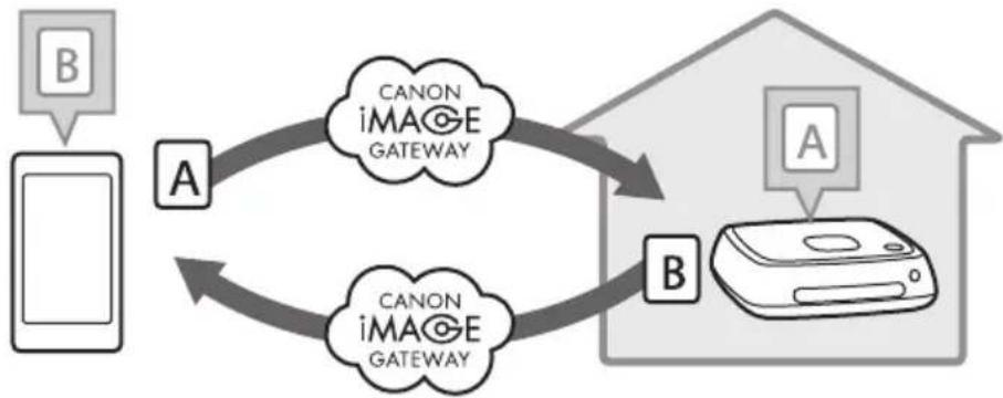 CANON Connect Station CS100 - Transferring and Sharing Images - 2