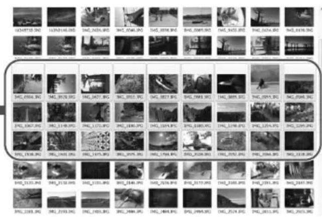 CANON Connect Station CS100 - Cartes compatibles - 56