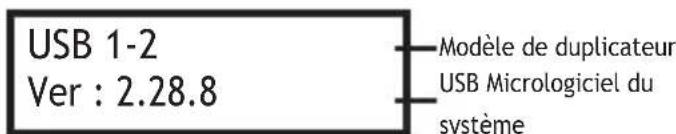 StarTech.com USBDUP12 - Information Systeme - 1
