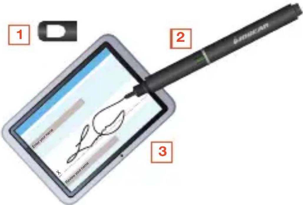IOGEAR PenScript - Con el lápiz táctil PenScript activo - 1