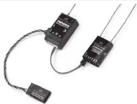 SPEKTRUM SPMA9589 - Informations de Branchement - 1