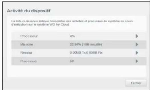 WESTERN DIGITAL My Cloud Mirror Gen 2 - Activité réseau - 6