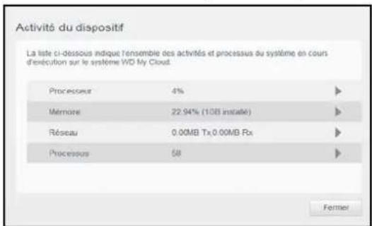 WESTERN DIGITAL My Cloud Mirror Gen 2 - Activité réseau - 6