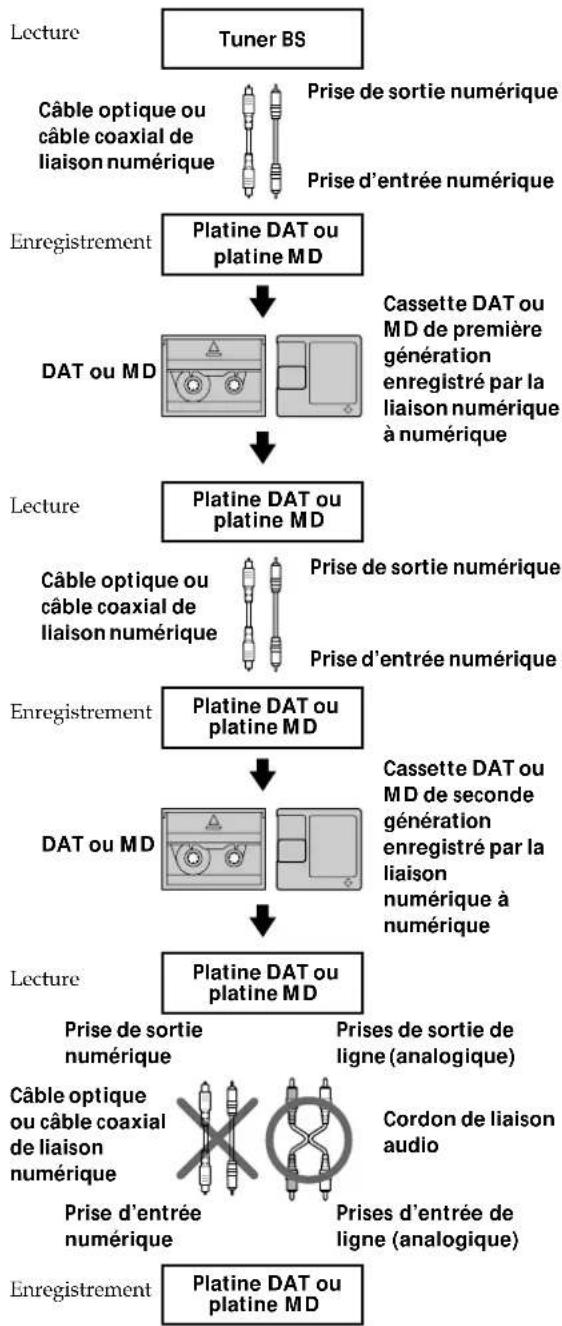 SONY MDSS38 - Système de protection contre la copie abusive - 2