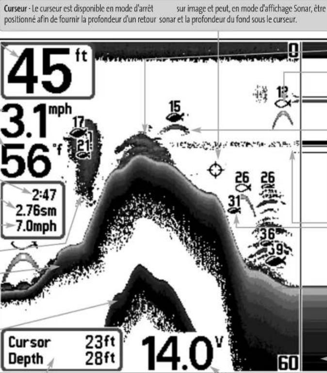 HUMMINBIRD Matrix 17 - Representations à l'écran - 1