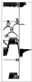 HUMMINBIRD Matrix 17 - Fenêtre sonar en temps réel (RTS) - 2