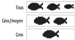 HUMMINBIRD Matrix 17 - Réglage de l'alarme d'identification de poisson : - 1