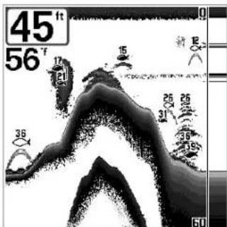 HUMMINBIRD Matrix 17 - Selection des indicateurs (Select Readouts) (mode utilisateur Avancé, exclusivement en mode d'affiche Sonar) - 1