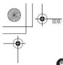 PIONEER BDRXS05 - Vue de partie arrêté/dessous - 5