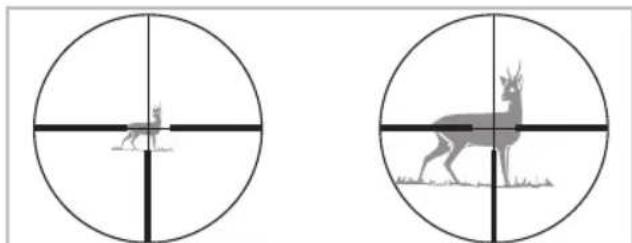 SWAROVSKI OPTIK Z3 310x42 - Sigtetiandetbilledplan (okular-billedplan) - 1