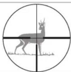 SWAROVSKI OPTIK Z3 310x42 - Het dradenkruis in het tweede beeldvlak (oculair beeldvlak) - 2