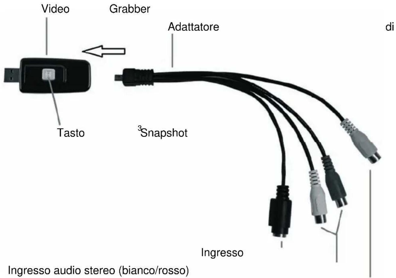 Video Grabber Adattatore di Tasto ³Snapshot Ingresso audio stereo (bianco/rosso) Ingresso