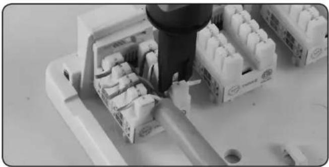 Tripp Lite N236006WH - Use a punch-down tool (such as Tripp Lite model N046-000) to complete the terminations and cut off any excess wire. - 1