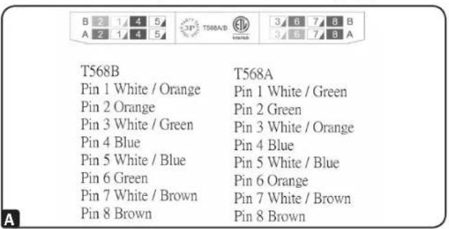 Tripp Lite N236006WH - Follow the instructions on the color code sticker to position T568B or T568A wiring A. Insert the four wire pairs into the slots accordingly B. - 1