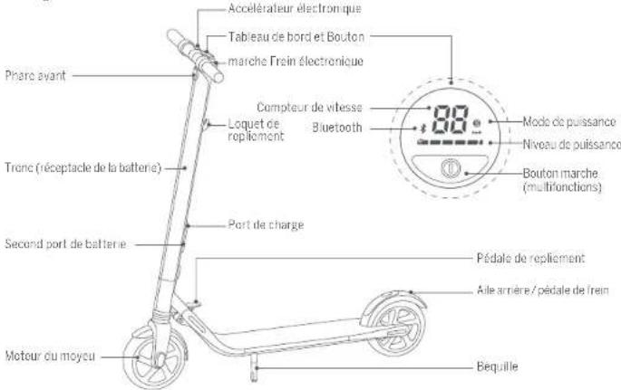 SEGWAY Ninebot KickScooter ES1 - Diagramme - 1