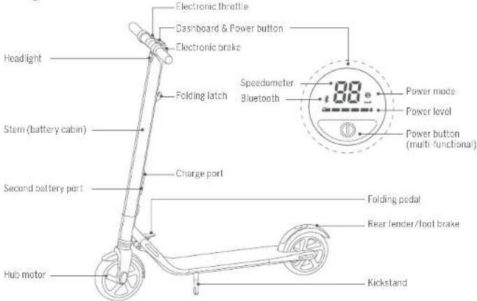 SEGWAY Ninebot KickScooter ES1 - Diagram - 1