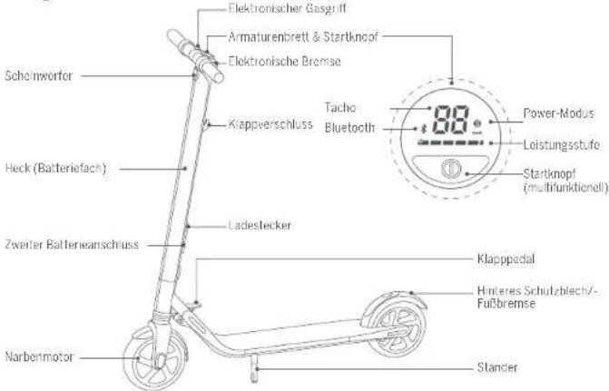 SEGWAY Ninebot KickScooter ES1 - Diagramm - 1