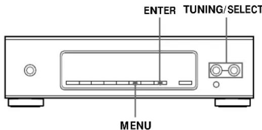 SONY STS3000ES - Personalizzazione della visualizzazione - 2