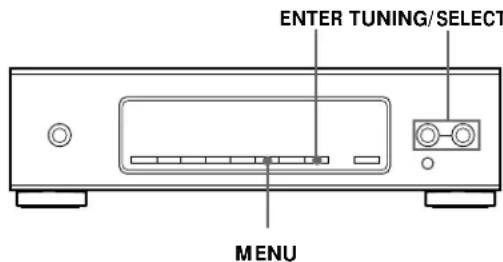 SONY STS3000ES - Customizing the Display - 1
