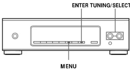 SONY STS3000ES - Personalización del visualizador - 1