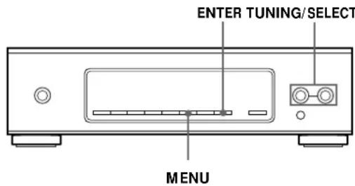 SONY STS3000ES - Wahl des Display-Anzeigemodus - 1