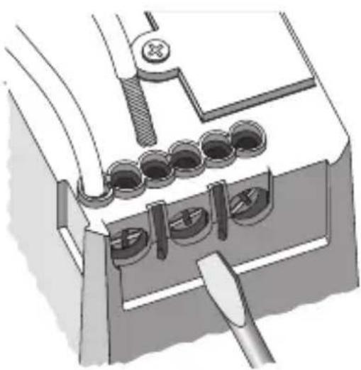 Gewiss GW12796 - Connessione carichi - 1