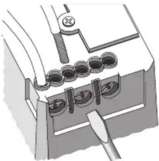 Gewiss GW12796 - Loads connection - 1