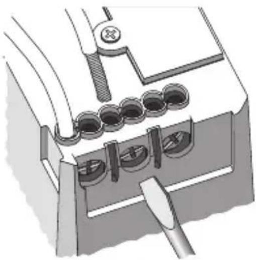 Gewiss GW12797 - Loads connection - 1