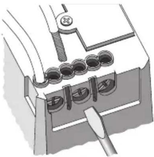Gewiss GW12797 - Connexion charges - 1