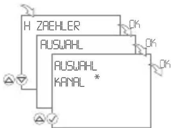 Gewiss GW96845 - HZAEHLER – Stundenzähler einstellen - 1