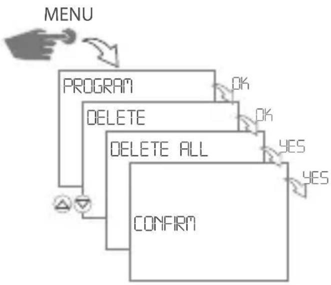 Gewiss GW96845 - Delete all programs - 1