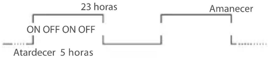 Gewiss GW96845 - Periodo de desconexión: Sì - 2