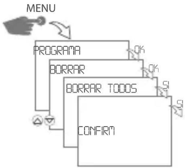 Gewiss GW96845 - Borrar todos los programas - 1