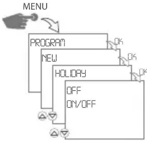 Gewiss GW96845 - Creating a holiday program \* - 1