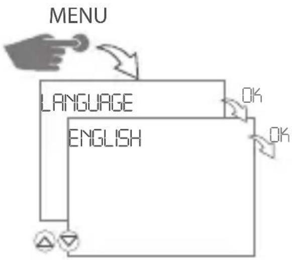 Gewiss GW96845 - COMMISSIONING - SELECT MENU LANGUAGE - 1
