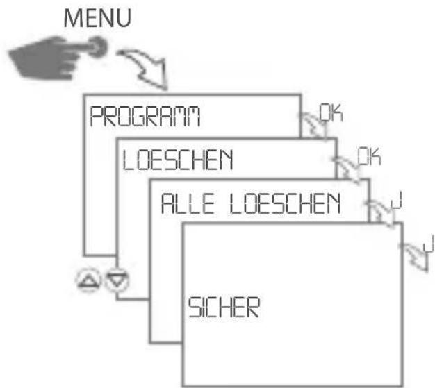 Gewiss GW96845 - Alle Programme löschen - 1